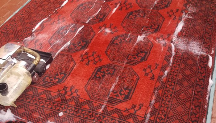 Carpet care 4