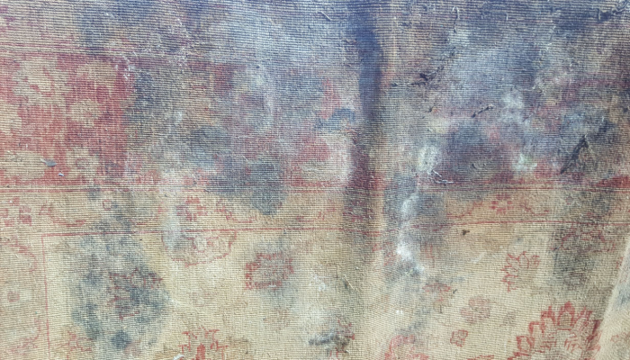 Stain and Spot removal 2