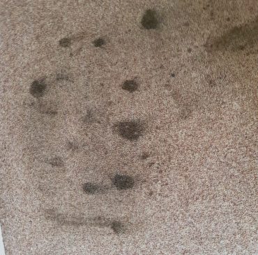 Stain and spot removal 3