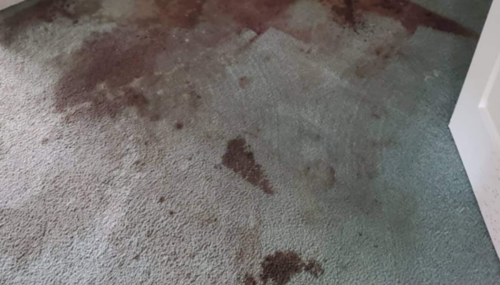 Stains and spot removal 1
