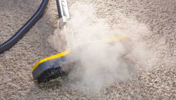 Using dry steam cleaner to sanitize floor carpet.